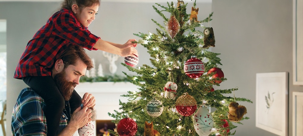 5x on Christmas Trees, and Tree Stands