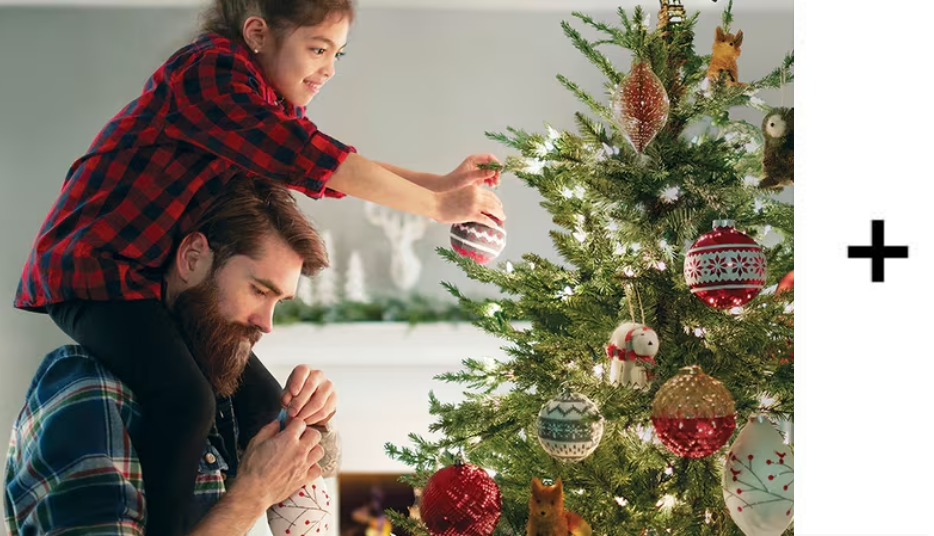 20x on Christmas Trees