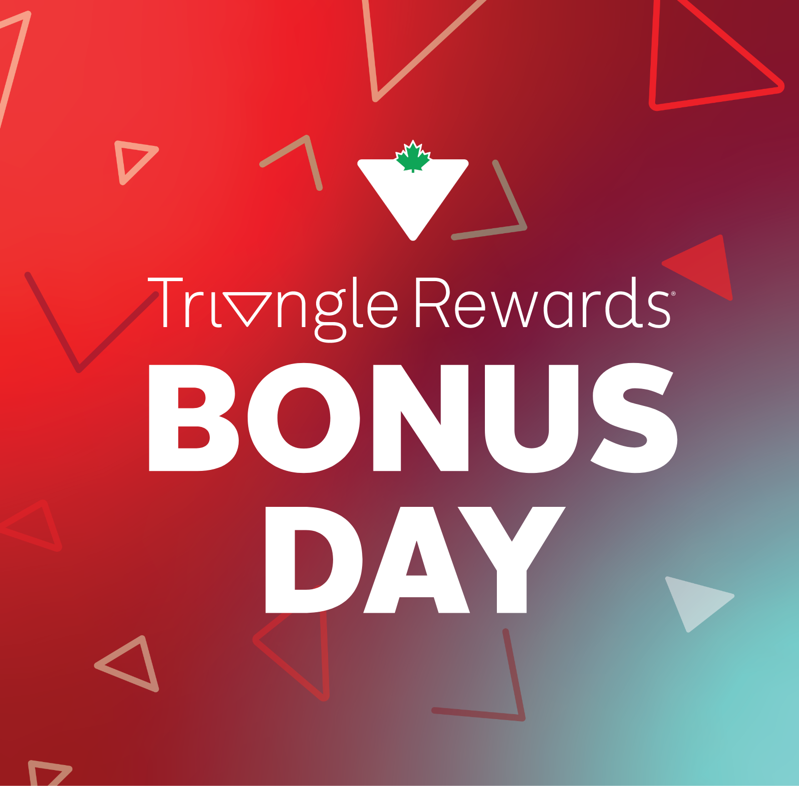 Triangle Credit Card Exclusive