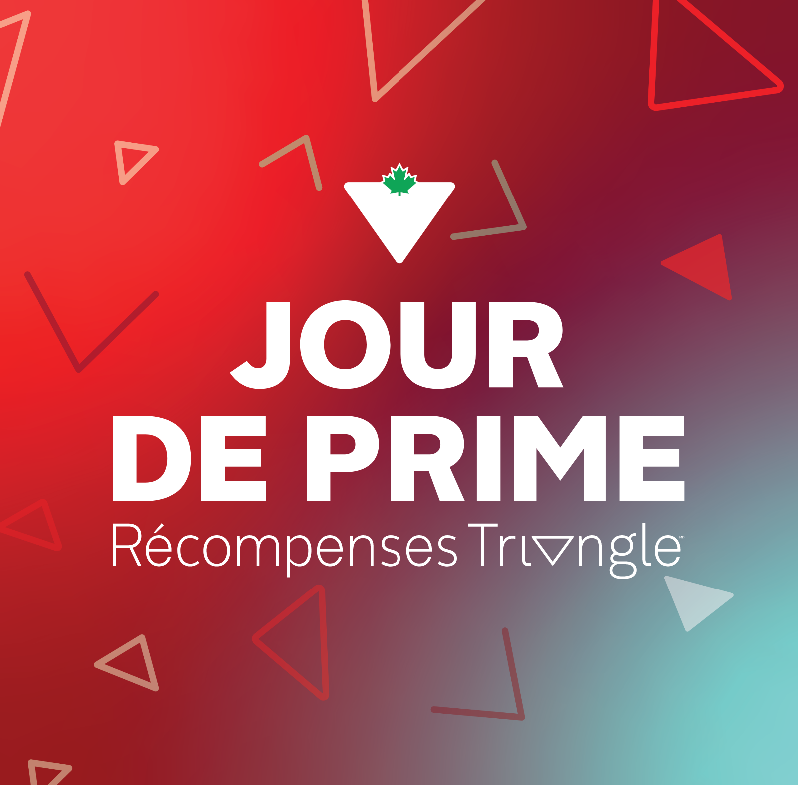 Triangle rewards Bonus Day image