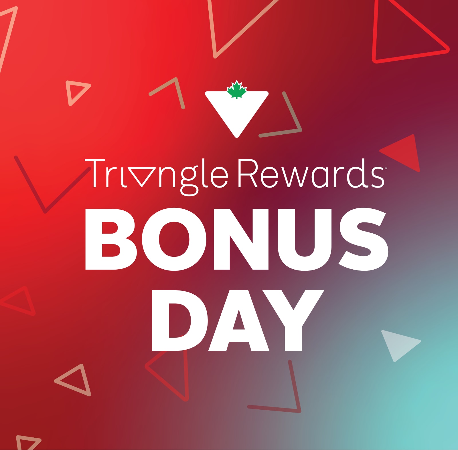 Triangle Credit Card Exclusive